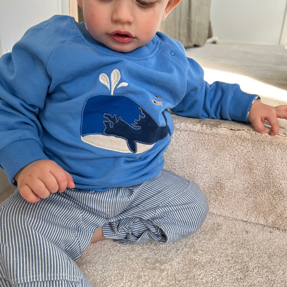 Woody baby sweatshirt - blue whale